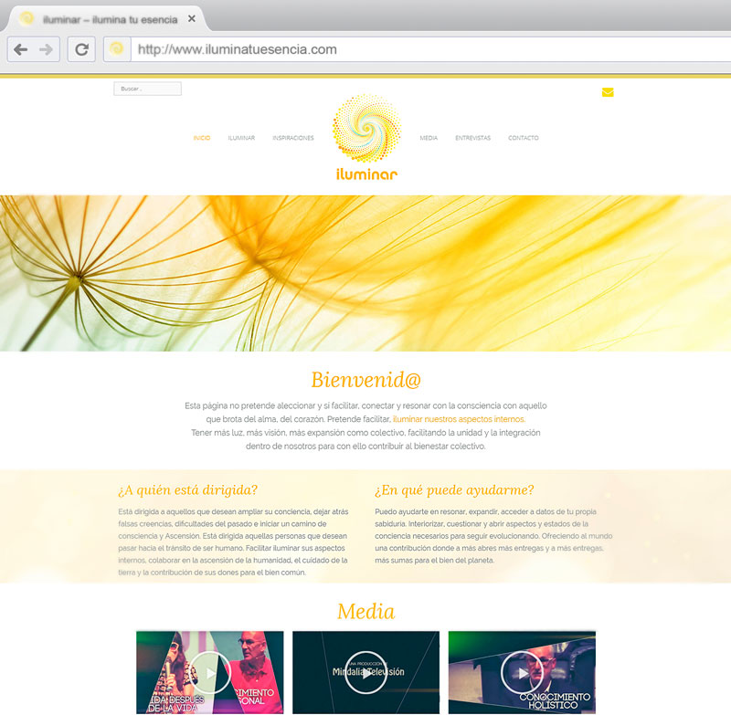 graphe-disseny-web-luminar